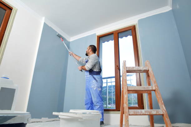 Best Eco-Friendly and Low-VOC Painting  in Lake Camelot, IL